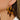 Push Back Stud Earring - Acetate - Brass - 316 Stainless Steel Stud - 18K Real Gold Plating - 9.5gr - MJ102553 - MinjuanRong