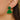 Push Back Stud Earring - Acrylic - Brass - 316 Stainless Steel Stud - 4gr - MJ102397 - MinjuanRong