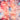 Scarf - Reversible square scarf - Digital printing - 66.5 - MJ105387