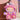LABUBU DOLL CLOTHE - LABUBU COSTUME - PETPolyethylene Terephthalate - 20.5gr - MJ107220