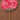 Fan - Cotton - Bead - Nylon thread - 31g - MJ106315